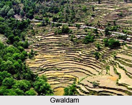 Gwaldam, Uttarakhand