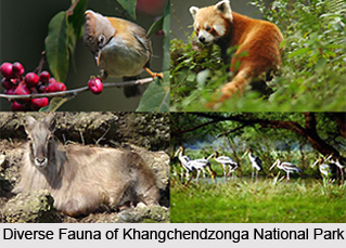 Kangchendzonga National Park
