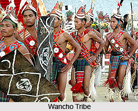 Morung Organisation, Wancho Tribe