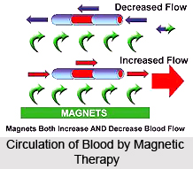 Effect of Magnets on Body Systems
