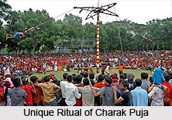 Charak Puja, Indian Festival