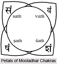 Grounding the Mooladhara Chakra