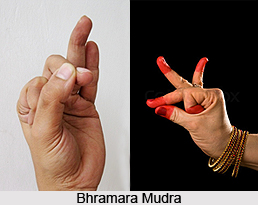 Bhramara Mudra