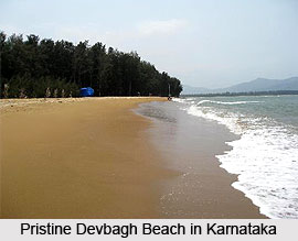 Devbagh Beach, Karwar, Karnataka