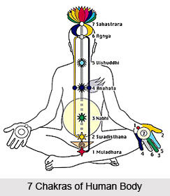 Chakras and Relationships