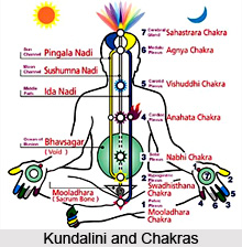 Concept of Chakra in Kundalini