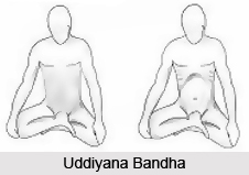 Technique Of Uddiyana Bandha
