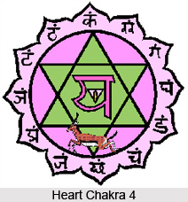 Seven Hearts , Chakra System