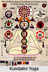 Concept of Chakra in Kundalini