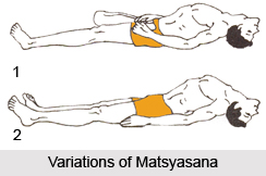 Matsyasana