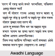 Awadhi Language