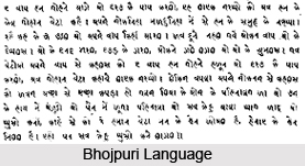 Bhojpuri Language