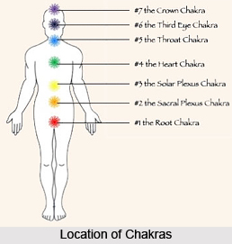 Knee and Elbow Chakras