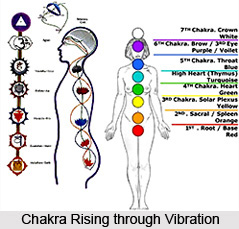 Seed Sounds of the Chakras