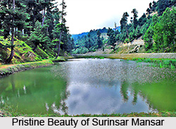 Surinsar Mansar Wildlife Sanctuary, Jammu and Kashmir