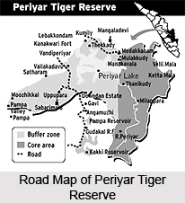 Periyar Tiger Reserve, Kerala