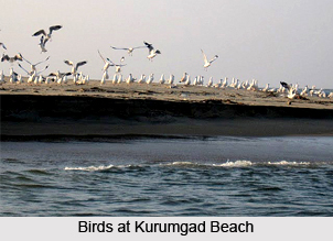 Kurumgad Beach, Uttar Kannada, Karnataka