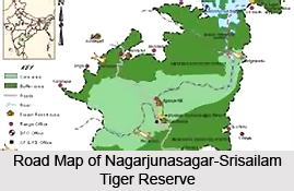 Nagarjunasagar-Srisailam Tiger Reserve