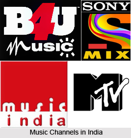 Variety of Indian Channels