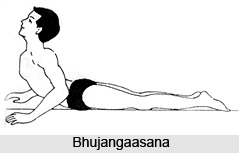 Impact of Yoga Asanas on Respiratory System