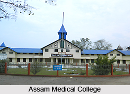 Barbari (AMC Area), Dibrugarh, Assam