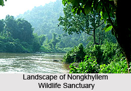 Nongkhyllem Wildlife Sanctuary, Ri Bhoi District, Meghalaya