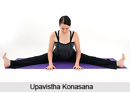 Yoga Pose of the month, Upavistha Konasana — Vira Bhava Yoga School