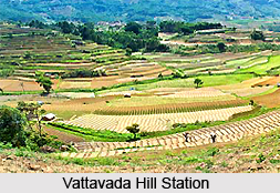 Vattavada Hill Station, Kerala