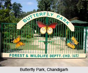 Butterfly Parks in India