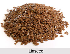 Linseed, Indian Medicinal Plant