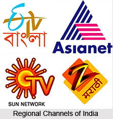 Private Television in India, Indian Television