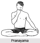 Raja Yoga, Ashtanga Yoga