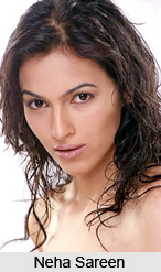 Neha Sareen, Indian Television Actress