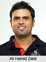 Ali Hamid Zaidi, Uttar Pradesh Cricketer