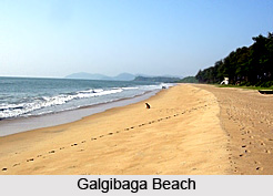 Galgibag Beach, South Goa district, Goa