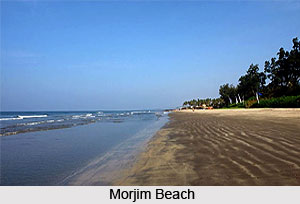 Morjim Beach, Goa