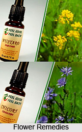 Flower Remedies in Different Diseases