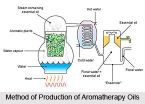 Production Methods for Aromatherapy Oils