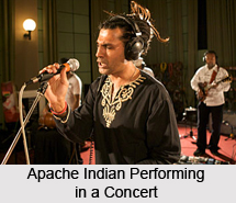 Apache Indian, Indian Musician