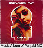 Punjabi MC, Indian Pop Singer
