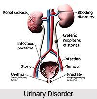 Dysuria or Mutrakrichha, Urinary Disorders