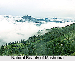 Mashobra, Shimla District, Himachal Pradesh