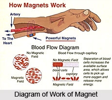 History Of Magnetic Therapy
