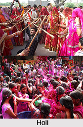 Haryana Temple Festivals