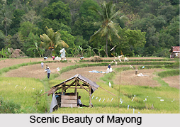 Tourism in Mayong, Assam