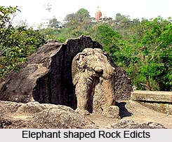 Rock Edicts Of Ashoka