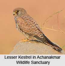 Achanakmar Wildlife Sanctuary, Chhattisgarh