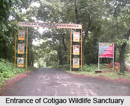 Cotigao Wildlife Sanctuary, Goa