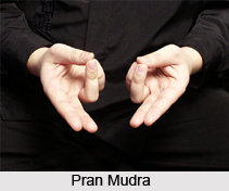Pran Mudra, Yoga