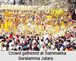 Sammakka Saralamma Jatara, Tribal Festival, Telangana